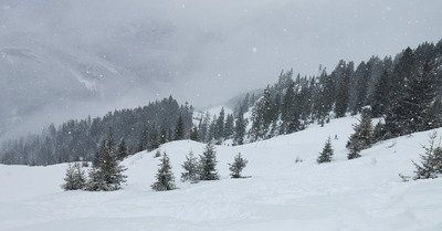 La Sambuy mercredi 29 janvier 2020