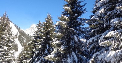 Praz de Lys-Sommand dimanche 19 janvier 2020