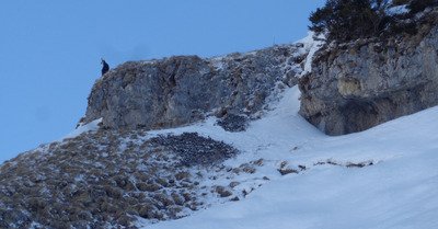 les aravis dimanche 12 janvier 2020