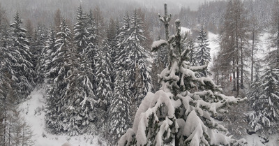 Val Cenis mardi 24 décembre 2019