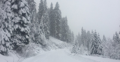 Morgins lundi 23 décembre 2019