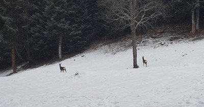 Ovronnaz lundi 9 d&eacute;cembre 2019