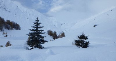 la foux d'allos dimanche 24 novembre 2019
