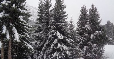 Praz de Lys-Sommand dimanche 17 novembre 2019