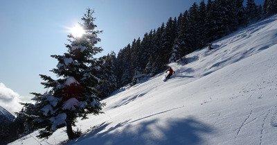 Saint Pierre de Chartreuse dimanche 17 novembre 2019