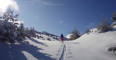Gr&eacute;oli&egrave;res samedi 16 novembre 2019