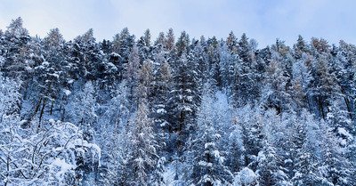 Puy Saint Vincent vendredi 15 novembre 2019