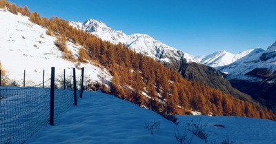 Pelvoux-Vallouise mercredi 13 novembre 2019