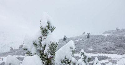 La Rosière mercredi 6 novembre 2019