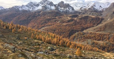 N&eacute;vache lundi 28 octobre 2019