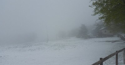 le champ du feu samedi 4 mai 2019