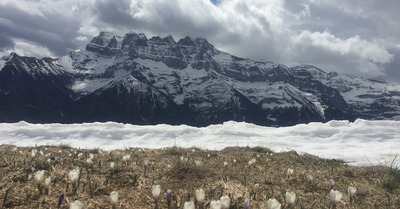 Morgins mercredi 24 avril 2019