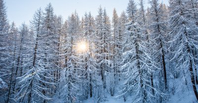 Puy Saint Vincent mercredi 13 mars 2019