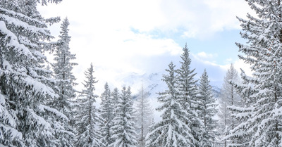 La Rosière jeudi 7 mars 2019