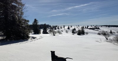 Manigod jeudi 14 f&eacute;vrier 2019