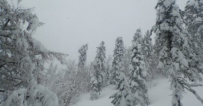 Saint Pierre de Chartreuse lundi 11 f&eacute;vrier 2019