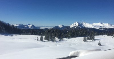 Les Gets mardi 5 f&eacute;vrier 2019