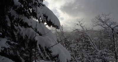Praz de Lys-Sommand dimanche 3 f&eacute;vrier 2019
