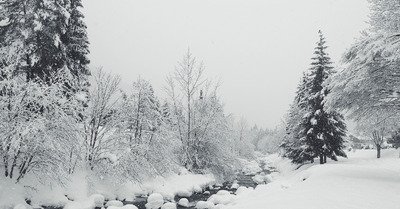 Le Grand-Bornand vendredi 1 f&eacute;vrier 2019