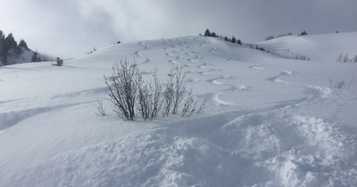 Morgins jeudi 31 janvier 2019