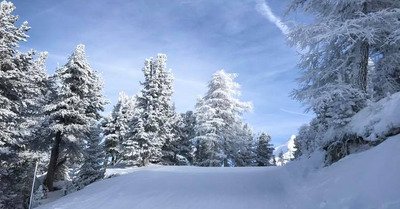 La Norma mercredi 30 janvier 2019