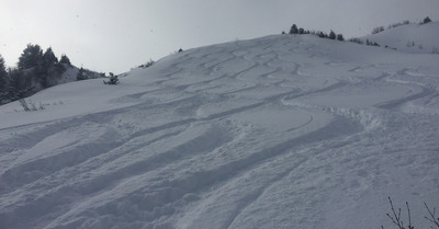 Morgins lundi 28 janvier 2019