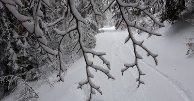 Grand Tourmalet (Bar&egrave;ges - La Mongie) vendredi 25 janvier 2019