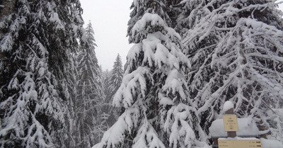 Praz de Lys-Sommand mercredi 23 janvier 2019