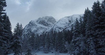 Alpe du Grand Serre lundi 14 janvier 2019