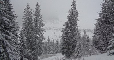 Praz de Lys-Sommand dimanche 13 janvier 2019