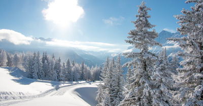 La Rosière jeudi 10 janvier 2019