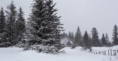 Corren&ccedil;on en Vercors jeudi 10 janvier 2019