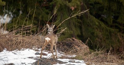 Ovronnaz lundi 24 d&eacute;cembre 2018