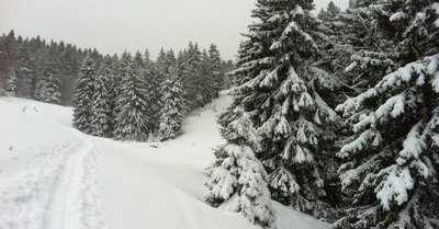 col du coq vendredi 21 d&eacute;cembre 2018