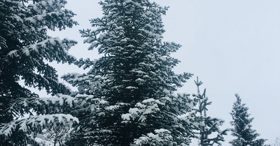 Pelvoux-Vallouise lundi 17 décembre 2018