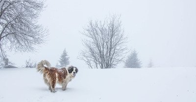 La Rosi&egrave;re mardi 27 novembre 2018
