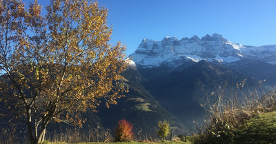 Morgins mercredi 14 novembre 2018