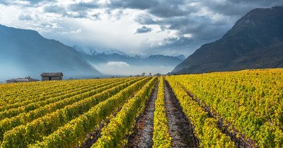 chamoson mercredi 7 novembre 2018