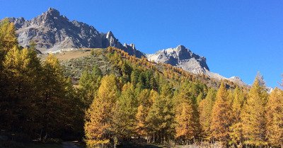 N&eacute;vache samedi 20 octobre 2018