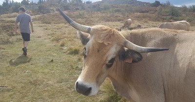 cr&ecirc;t de la perdrix lundi 10 septembre 2018