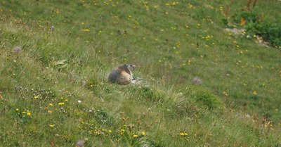 La Plagne samedi 25 ao&ucirc;t 2018