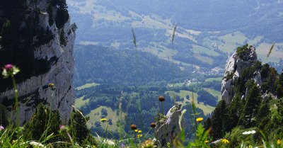 Le granier vendredi 24 ao&ucirc;t 2018