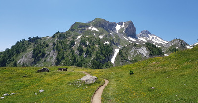 Ovronnaz dimanche 1 juillet 2018