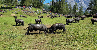 Ovronnaz samedi 23 juin 2018