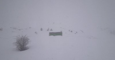 Boi Taull dimanche 8 avril 2018