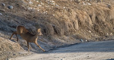Ovronnaz jeudi 22 mars 2018