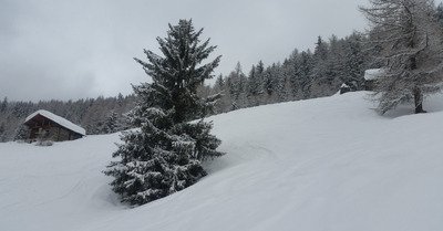 Sainte Foy samedi 3 mars 2018