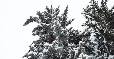 Les Menuires samedi 3 mars 2018