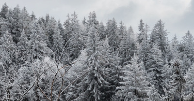 Le Grand-Bornand mardi 27 février 2018