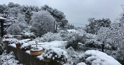 Vallauris lundi 26 f&eacute;vrier 2018